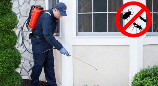 Çerkezköy Tahtakurusu İlaçlama böcek ilaçlama ve haşere kontrolü — ilaclama-tr.com